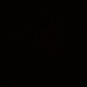 Meet your Posher, Cameron